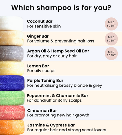 Cinnamon Shampoo Bundle For New Hair Growth (In Tins)